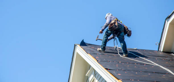 Best Roof Waterproofing Services  in Ainaloa, HI